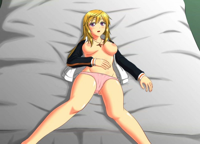セシリアやシャルルらISの美少女達のフルカラーエロ同人画像５０枚程！！ (32)