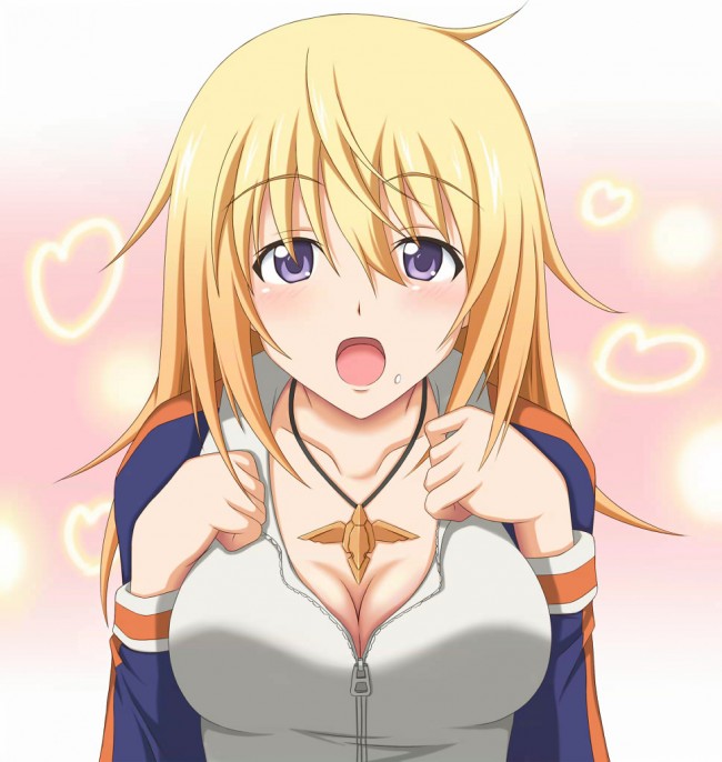 セシリアやシャルルらISの美少女達のフルカラーエロ同人画像５０枚程！！ (17)