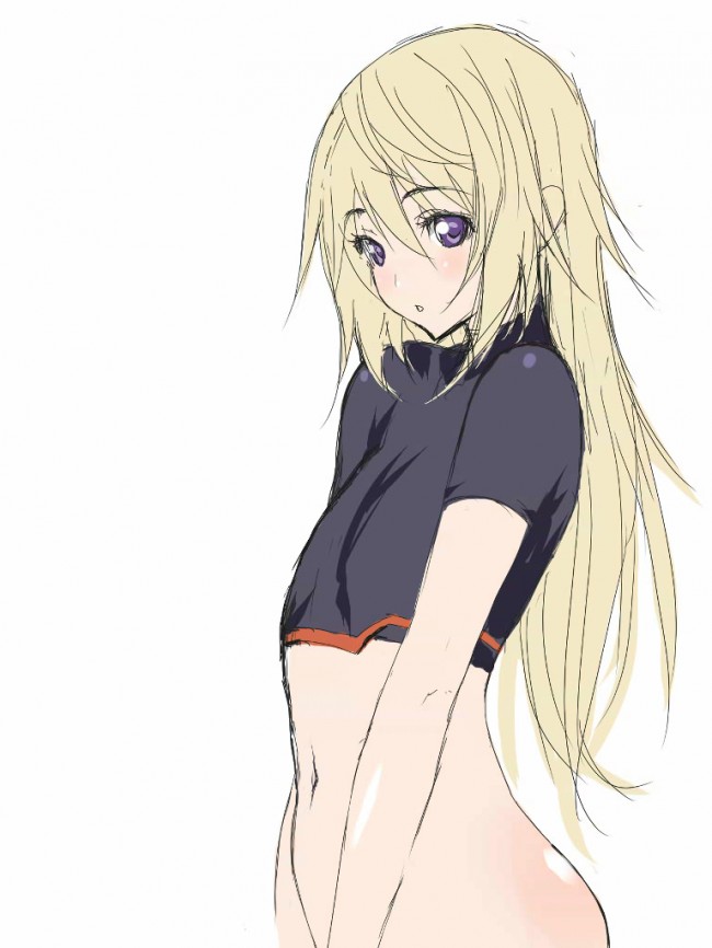 セシリアやシャルなどＩＳ美女達のフルカラーエロ同人画像集をたっぷりと！！！ (38)