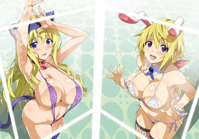 セシリアやシャルなどＩＳ美女達のフルカラーエロ同人画像集をたっぷりと！！！ (6)