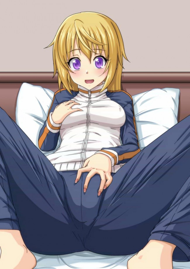 セシリアやシャルルらISの美少女達のフルカラーエロ同人画像５０枚程！！ (21)