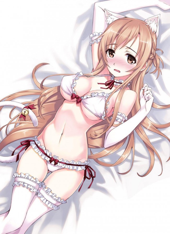 アスナがメインなソードアート・オンラインのフルカラーエロ同人画像ｗｗｗｗｗｗｗｗｗ (11)