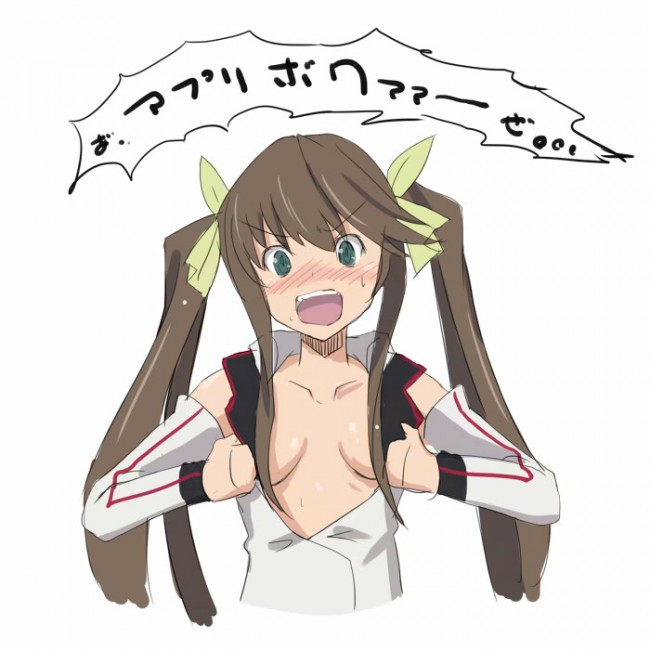 ISの美女達勢ぞろいのフルカラーエロ画像だよ～！！！ (21)