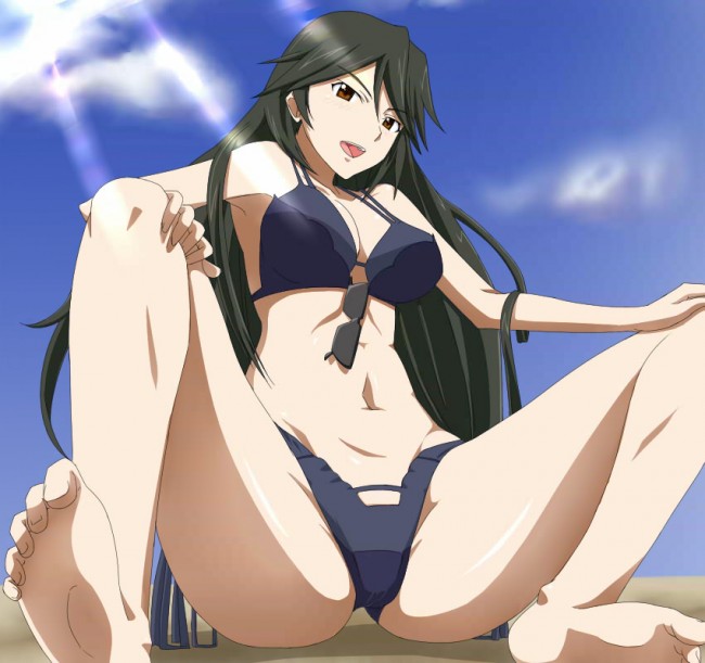 シャルルやセシリアなどISの美少女達たっぷり５０枚のフルカラーエロ画像！！ (29)
