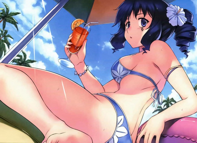 セクシーな水着や下着姿などなどフリージングの美女達のフルカラーエロ同人画像集ｗｗｗｗｗ (9)