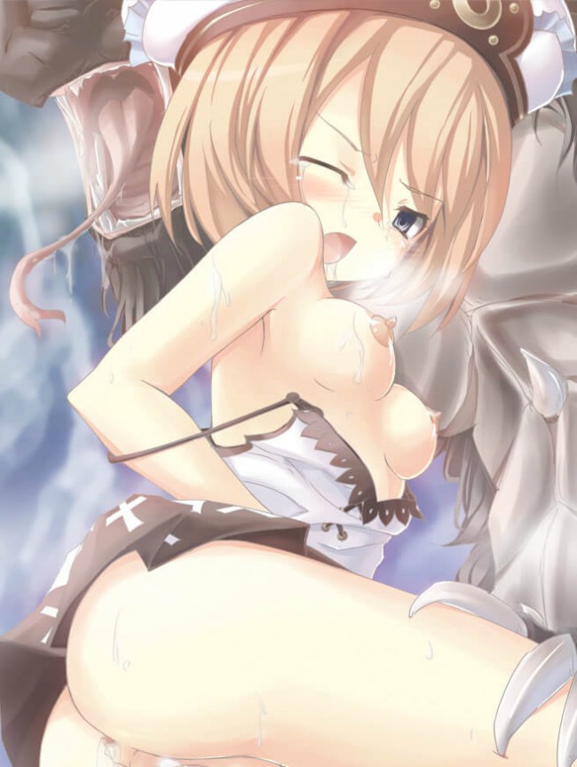 【24枚】ネプテューヌのエロ画像集その (1)