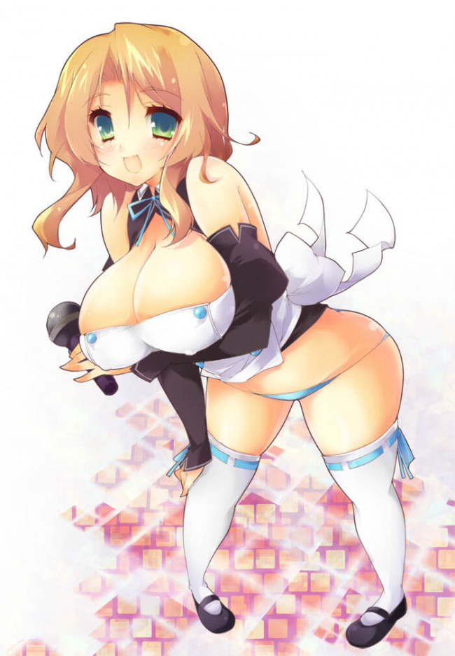 【30枚】ドリームクラブのエロ画像集その5 (30)