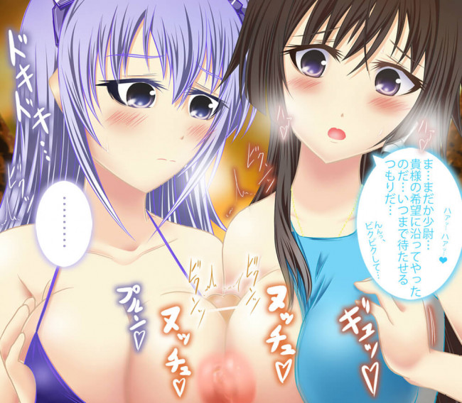 【30枚】マヴラヴのエロ画像集その1 (27)