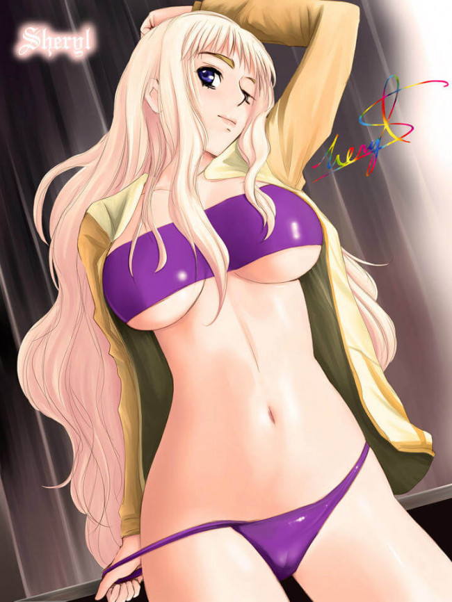 【30枚】マクロスシリーズのエロ画像集その19 (38)