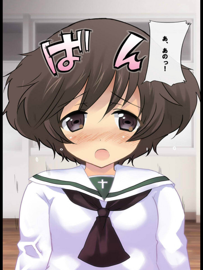 【30枚】ガールズ&パンツァー エロ画像集その4 (115)