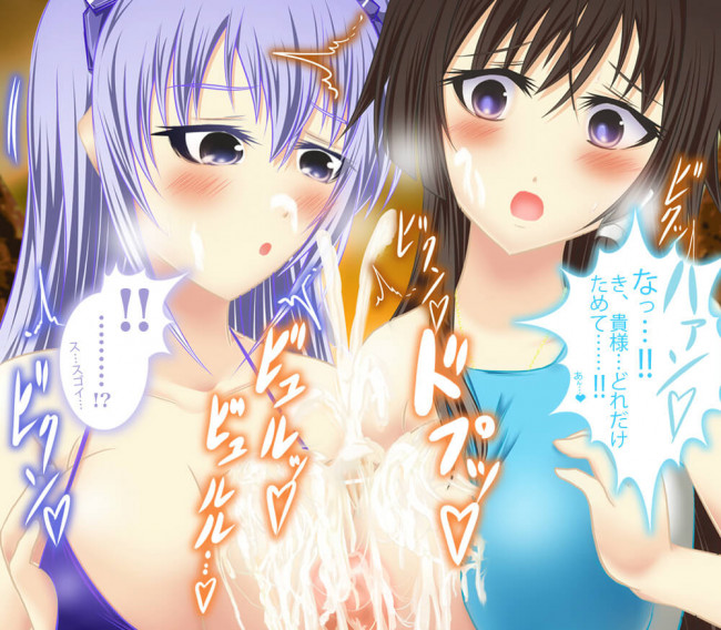 【30枚】マヴラヴのエロ画像集その1 (28)