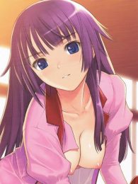 化物語のエロ同人のフルカラーエロ画像ですぅ！7
