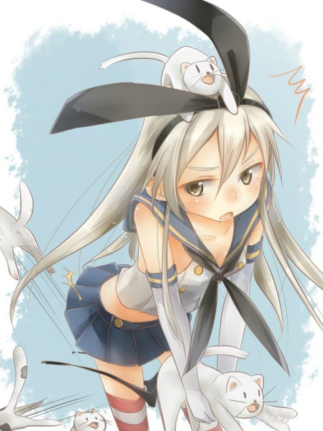 【30枚】艦隊これくしょん 『艦これ』エロ画像集その49 (5)