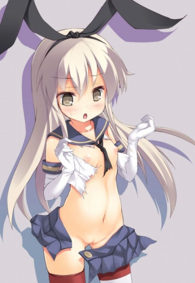 【30枚】艦隊これくしょんの二次エロ画像【艦これ】 (8)