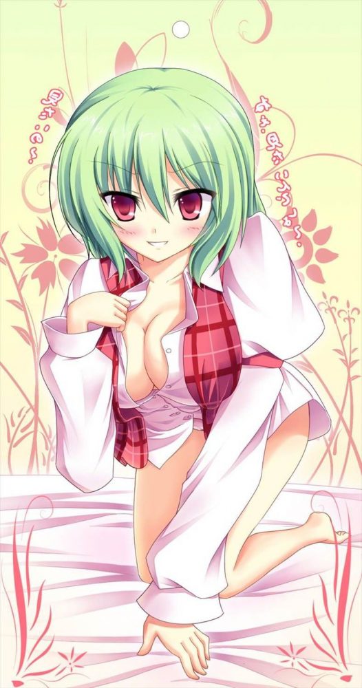 【エロ漫画】東方プロジェクトのエロ同人のフルカラーエロ画像ですぅ！6 (55)