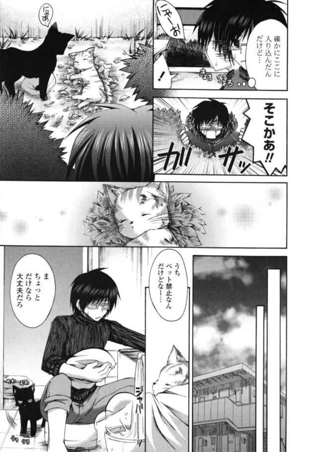 冷たくなってる仔猫と親っぽい野良猫を家に連れ帰って助けた結果【無料 エロ同人】10