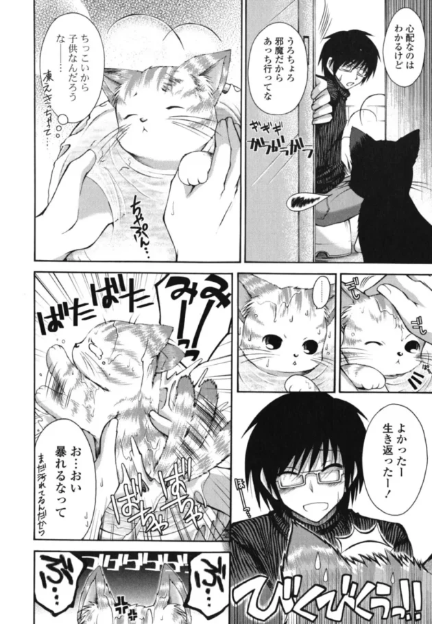 冷たくなってる仔猫と親っぽい野良猫を家に連れ帰って助けた結果【無料 エロ同人】11