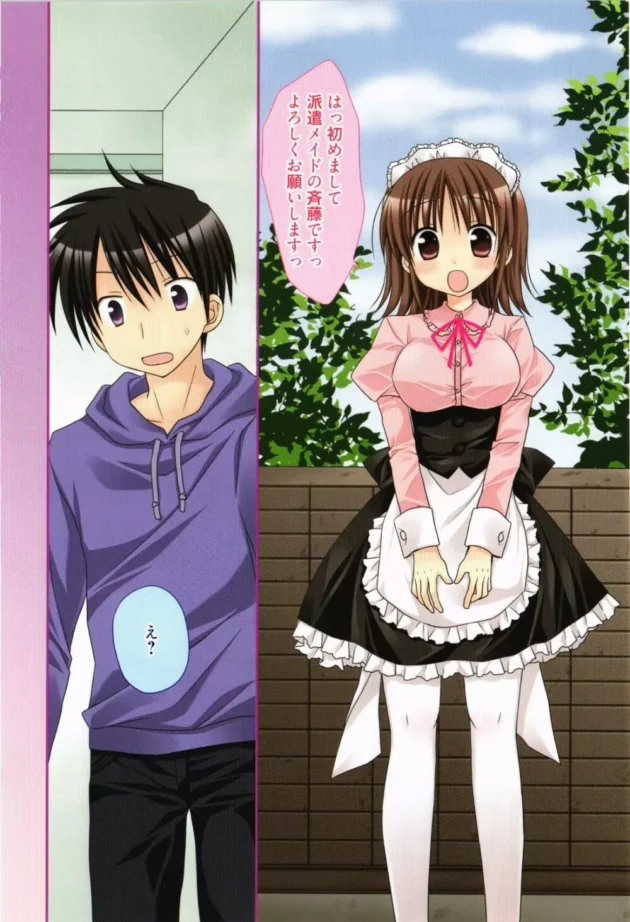部屋をキレイにしてくれる出張メイドさんを派遣してくれた！【無料 エロ同人】11
