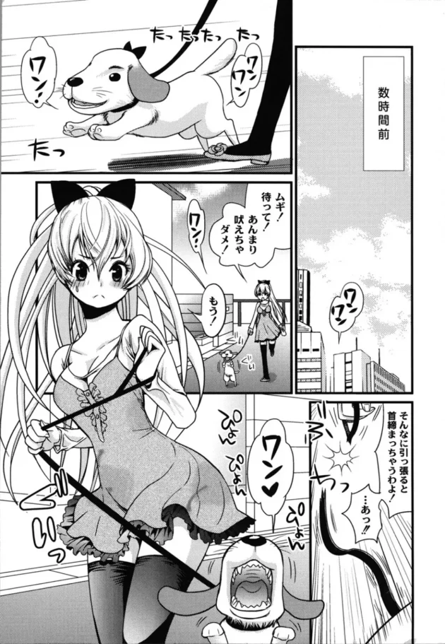 迷子の犬を拾ってきたら暴れていろいろ壊しちゃった【無料 エロ同人】12