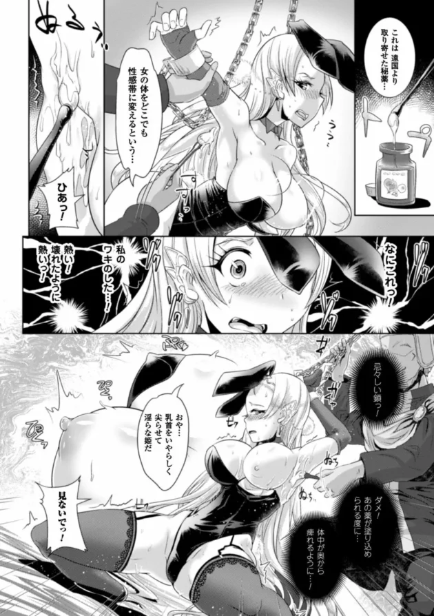 巨乳の姫をエロバニーコスで拘束してひたすらワキを犯し尽くす【無料 エロ同人】12