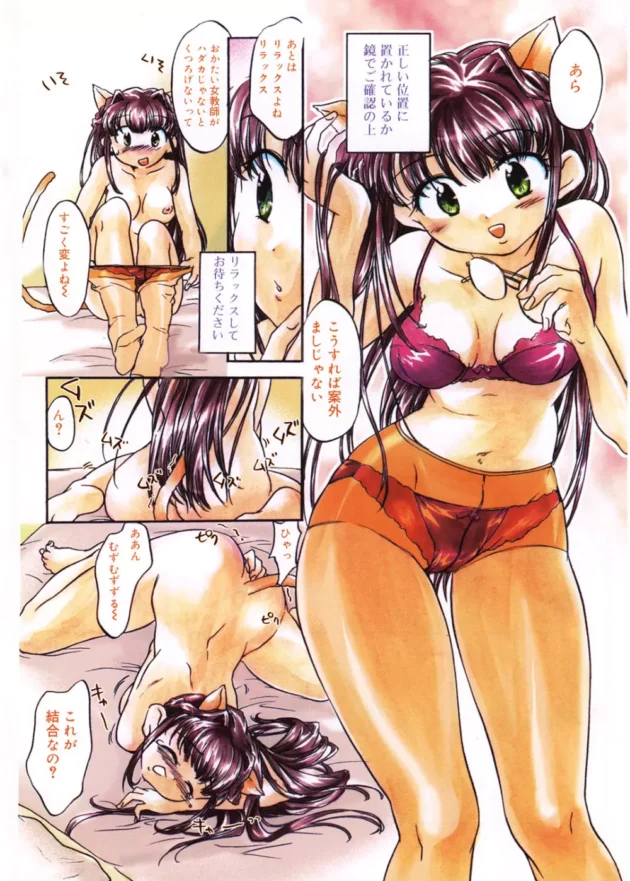 お堅い女教師さんが変身してみたくてネコミミキットなるのもを使ってみた【無料 エロ同人】6