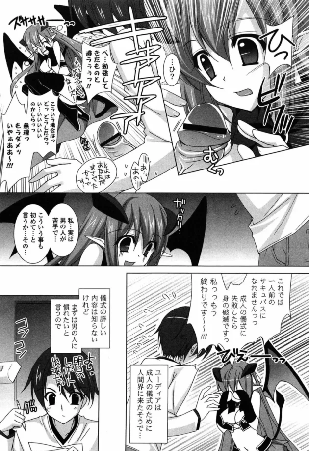 最近のサキュバスはホムペを作って男達にアプローチしてくるみたいだ！【無料 エロ同人】10