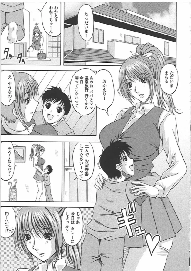両親が旅行に出かけて、ショタな弟とお留守番してたら可愛くて我慢できなくなって逆レイプしちゃうお姉ちゃん【柊流架 エロ同人】12