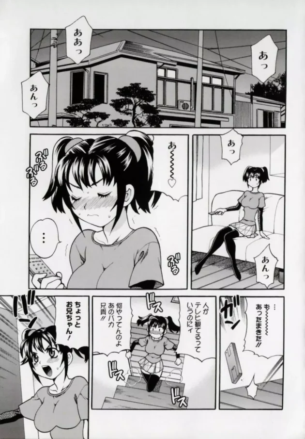 理想の穴を探求する変態兄貴が辿り着いた穴は実妹のまんこでした【ゆきやなぎ エロ同人】17