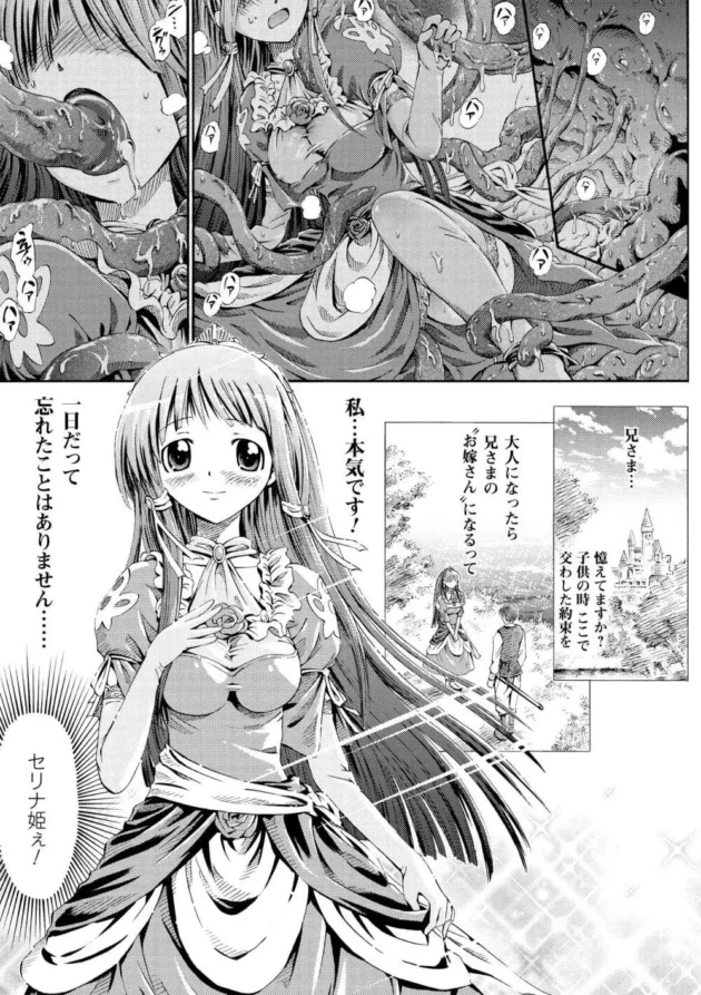 化物を倒す為に身を挺して囮になって触手の餌食になるお姫様！2穴犯されたところで王子様登場ｗｗｗ4
