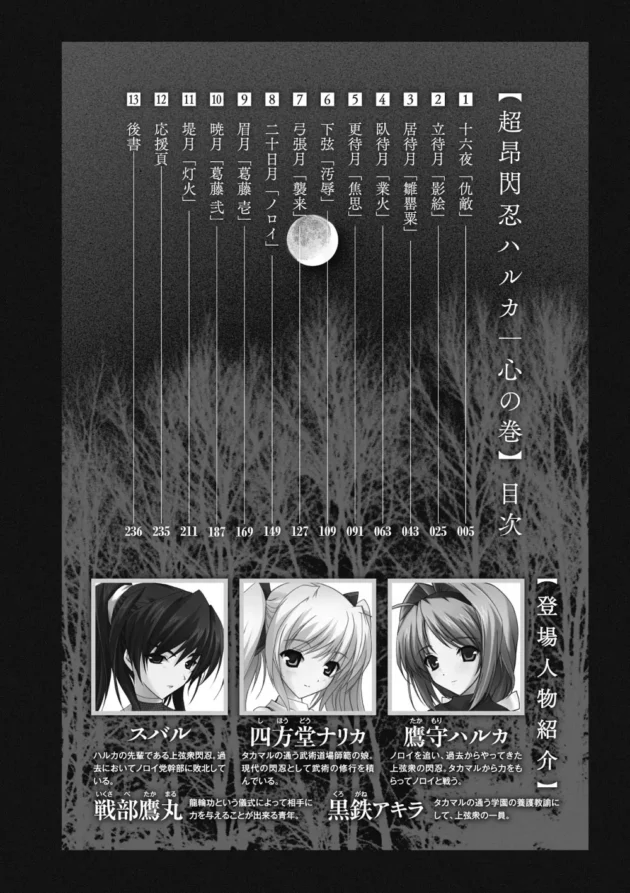 閃忍の美少女達が複数ちんこに囲まれて前から後ろから犯されまくり！窒息死しちゃうよ～【無料 エロ同人】4