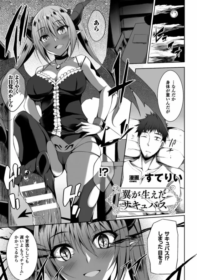 一方的に痴女ってたサキュバスが聖職者の精子浴びて形勢逆転！中出しレイプされて天使に転生し従順奴隷にされちゃう【無料 エロ同人】5