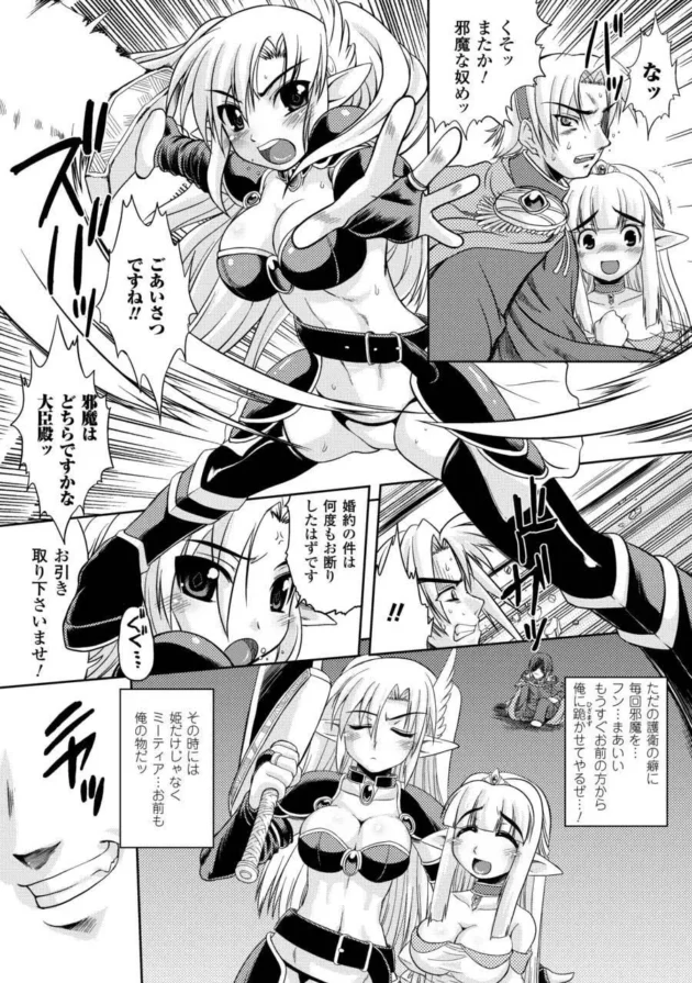 エルフの女戦士さんが姫の為に高級娼婦になって嫌なのに～って感じで媚薬とかでエロ調教されちゃう！処女からの調教っていいよね～【無料 エロ同人】6
