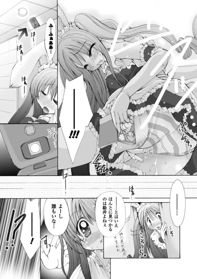 ドＭお姫様が玩具や三角木馬でオナニーしてるの見つかってお仕置き【無料 エロ同人】8