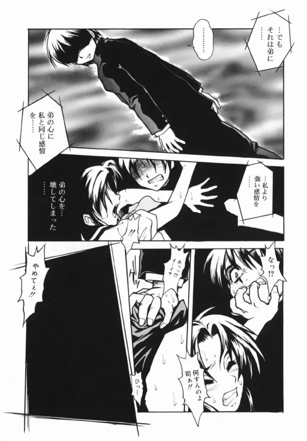 弟をイジメ続けていた結果…【十羽織ましゅまろ エロ同人】11