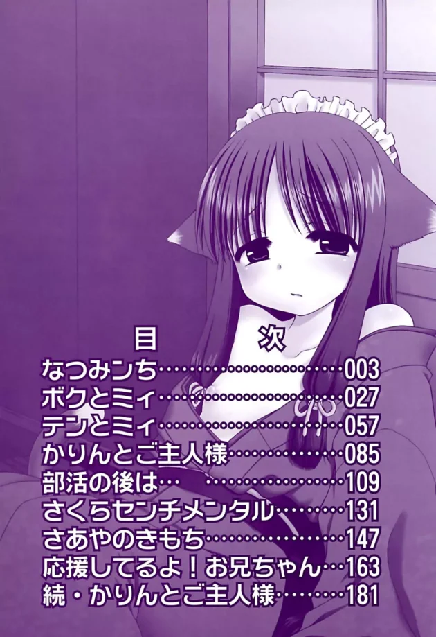 ニートな兄貴が妹ちゃんをレイプしちゃうんだけど、許してあげて働くならエッチしてあげるって言ってて泣いた！【無料 エロ同人】5