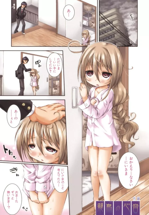ロリ貧乳で引き篭もりな妹を襲って肉便器にする鬼畜なお兄さま【無料 エロ同人】5