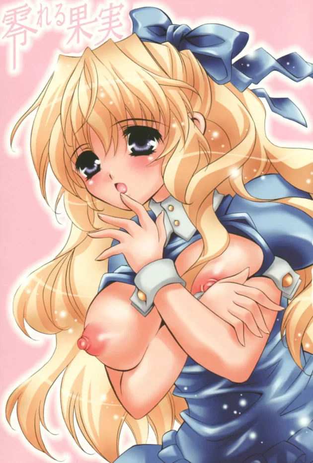 メイドさんとエッチするなら全裸よりメイド服着てエッチした方がイイだろッ【無料 エロ同人】5