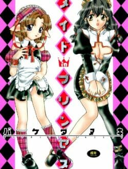 箱入り娘の姫様が結婚前にメイドのお姉さんにＨ教えてもらう事になってレズセックスだおｗｗｗｗｗ