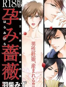 男しかいない島で、孕み薔薇と呼ばれるアザがある男は孕めるらしく…【無料 エロ同人】