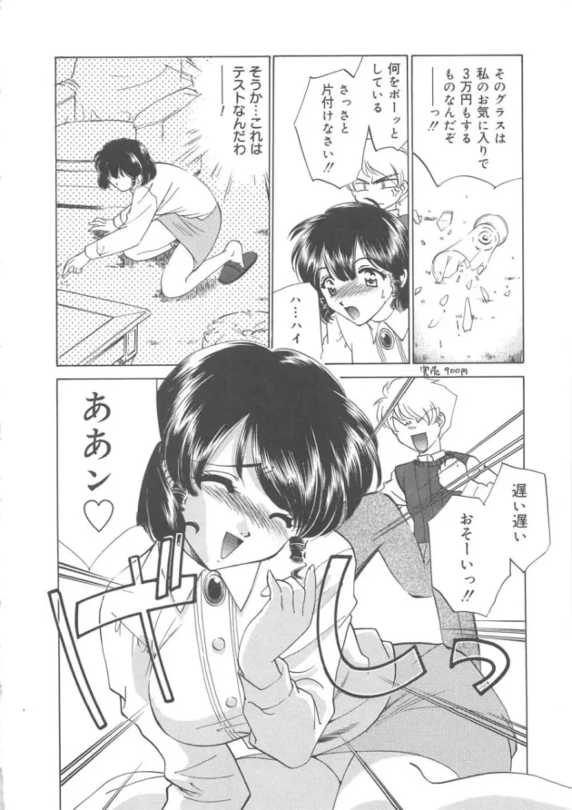 イジメに強いメイドを募集したらイジメに強すぎるメイドがきてしまった【無料 エロ同人】11