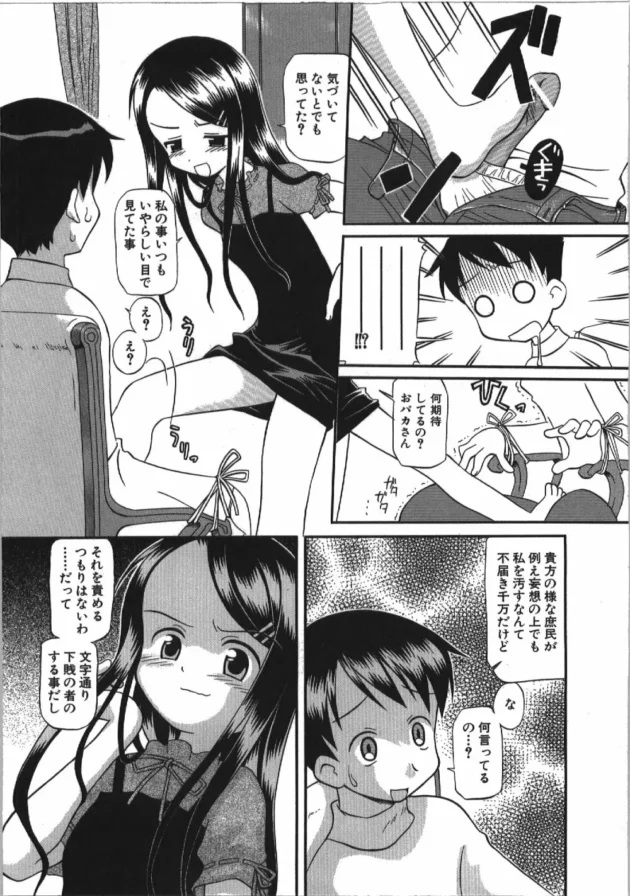 清楚でロリなお嬢様の家庭教師をやってるんだけど、一ヶ月目に本性を現して【無料 エロ同人】12