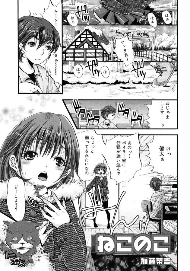 猫が彼女の乳を弄りだしたので彼も一緒になって揉んだり吸ったりしちゃうｗ│ねこのこ1 (1)