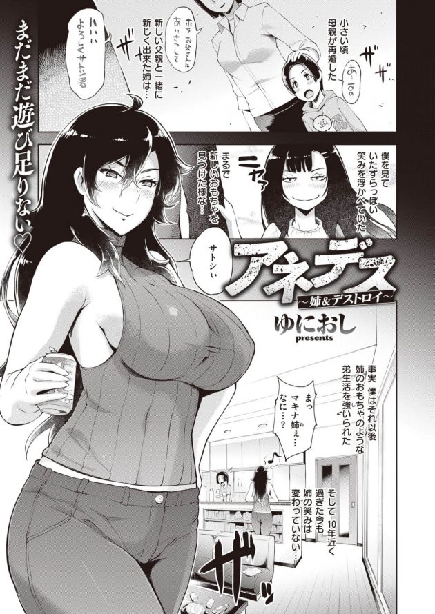 アネデス〜姉&デストロイ〜 (1)