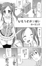 巨乳になってきた妹にH誘われ勉強どころではなくなる兄ｗ│いもうとおっぱい