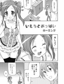 巨乳になってきた妹にH誘われ勉強どころではなくなる兄ｗ│いもうとおっぱい