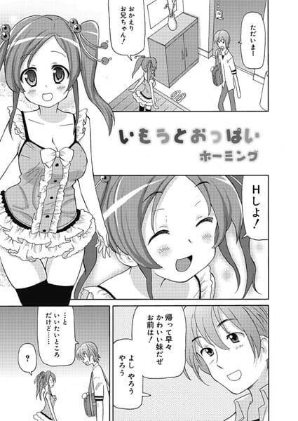 巨乳になってきた妹にH誘われ勉強どころではなくなる兄w│いもうとおっぱい