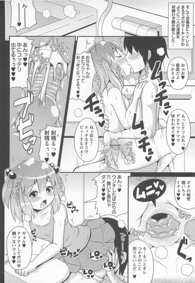 男の娘キター！ショタで男の娘な弟とお兄ちゃんが処かまわずラブラブにエッチ【無料 エロ同人】-11