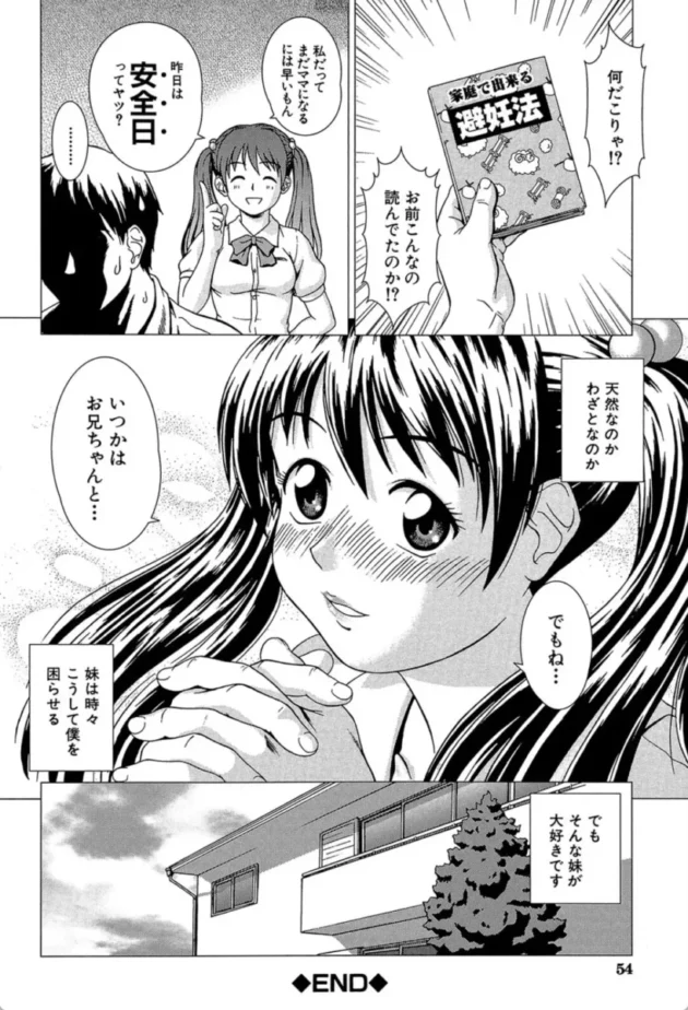 【エロ漫画】Egoistic Sister【エロ同人 無料】(27)